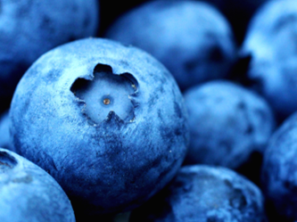 /online/TheHummData/listing media/Blueberries.png